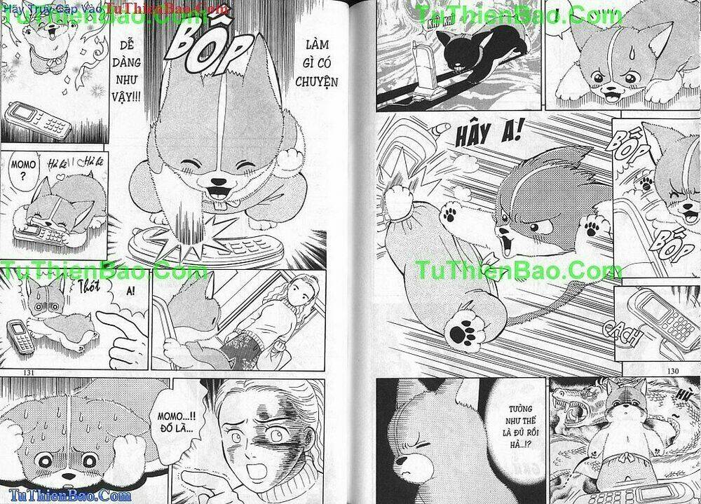 chó con mo mo chapter 1 66