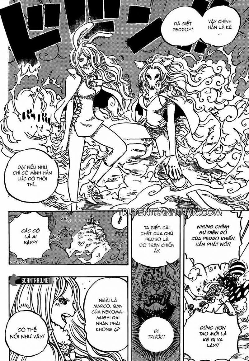 đảo hải tặc - one piece chapter 995 5