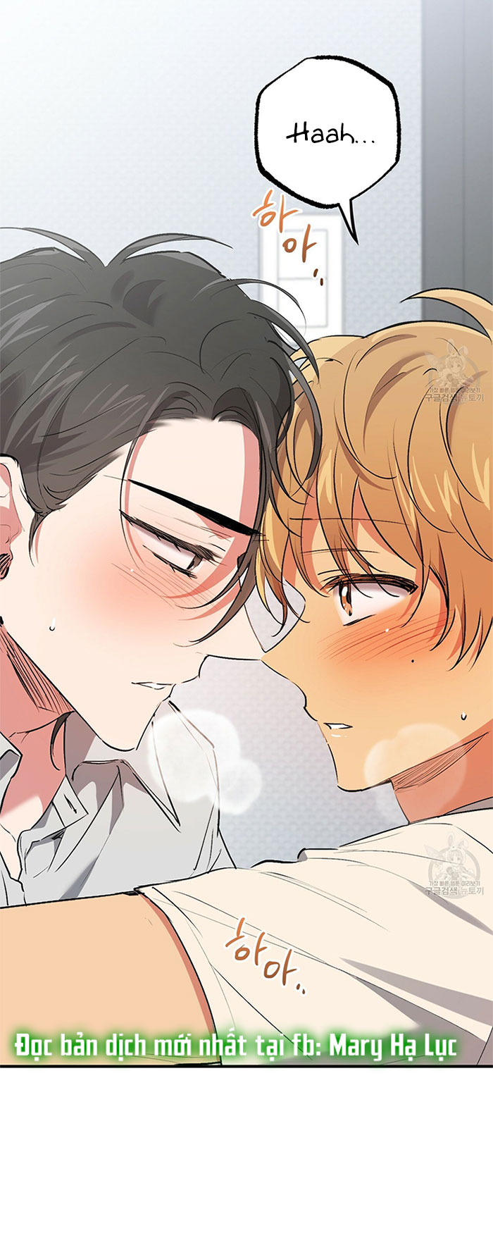 những chú thỏ của hapypy chapter 43 7