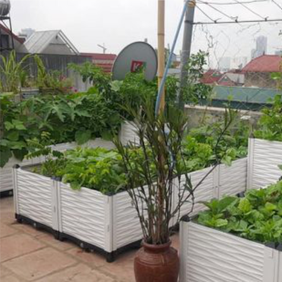 CHẬU GHÉP THÔNG MINH Cm: Bền từ 8-10 năm, phù hợp mọi cây trồng và không gian, Module tùy biến kích thước, an toàn, trọng lượng nhẹ, kết cấu chắc chắn, có khay trữ và thoát nước.