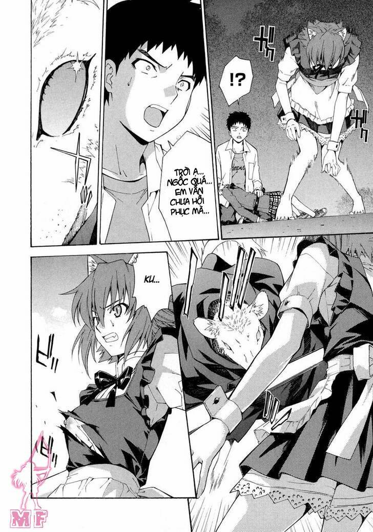 isuca chapter 11 12