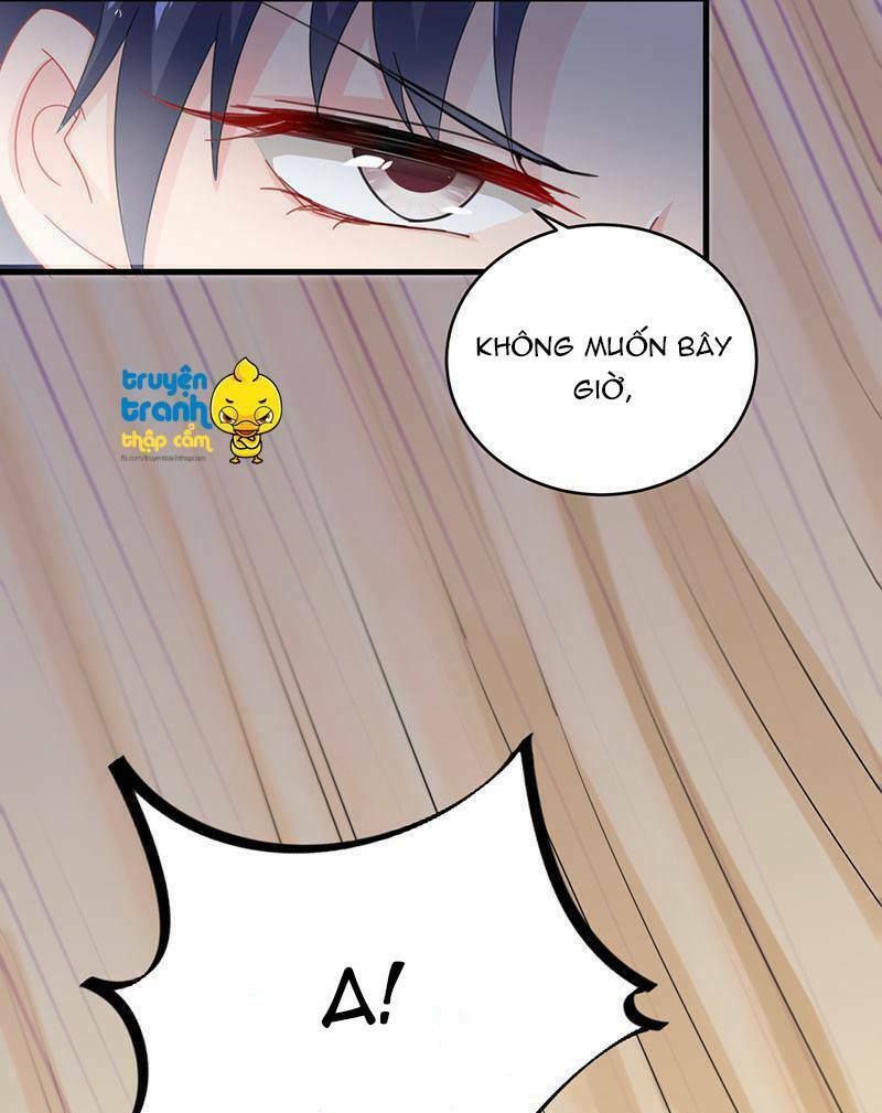 chọc tới chủ tịch tổng tài 2 chapter 11 20