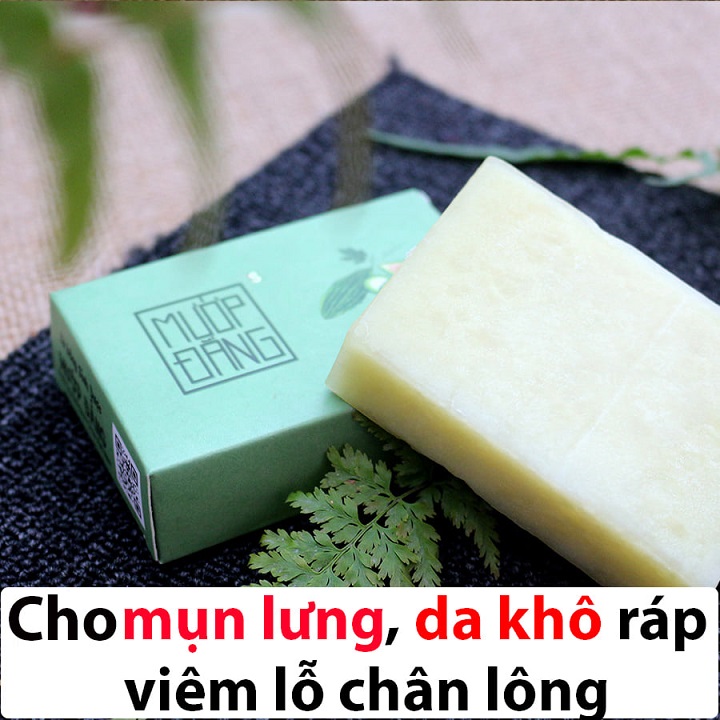 SINH DƯỢC COMBO 2 Xà bông Bạc Hà và Mướp đắng [ TẶNG 1 TÚI LƯỚI] xà phòng thiên nhiên handmade 100gr , làm sạch sâu, dưỡng da, thư giãn , mát da, ngừa mụn rôm sảy