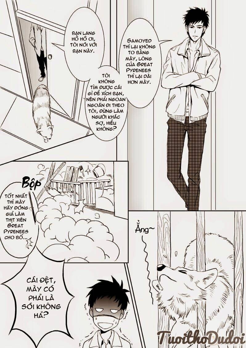 sự mê hoặc của sói chapter 11 3