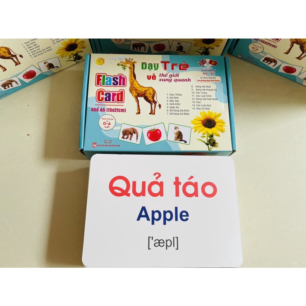 Đồ chơi thẻ học thông minh cho bé loại lớn 256 thẻ Flashcard Glenn doman