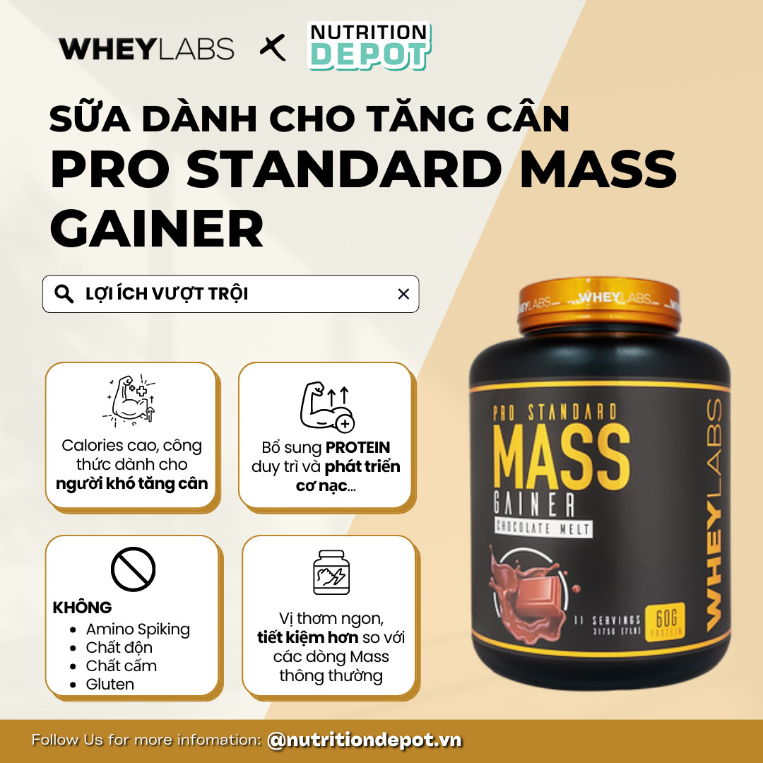 COMBO 2 hũ Sữa tăng cân và tăng cơ Wheylabs Pro Standard Mass 7lbs – Vị Chocolate Melt – TẶNG KÈM 1 wheylabs BCAA 30 lần dùng