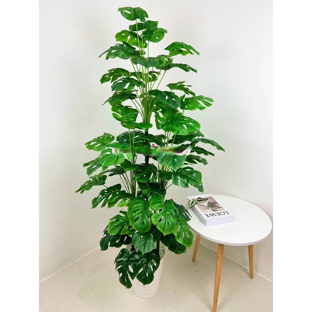 Cây trầu bà lá xẻ - Size 160cm - kèm chậu và sỏi trắng - Cây giả, hoa lụa trang trí nhà cửa