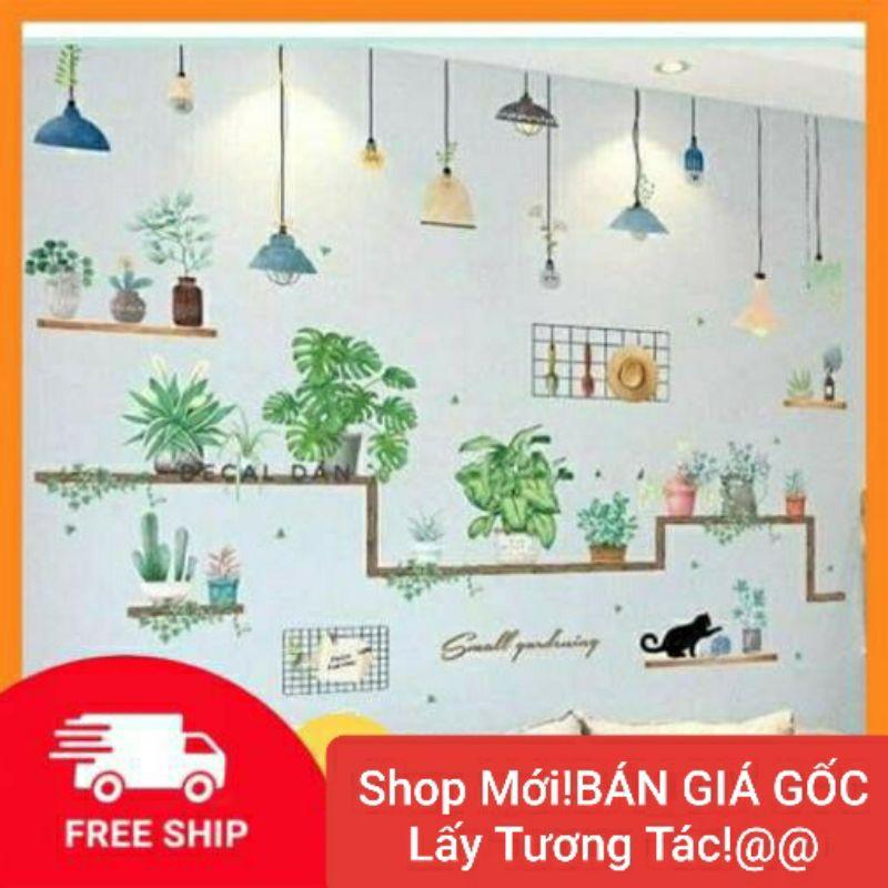 Decal dán tường dây đèn thả và kệ chậu cây kèm ảnh thật