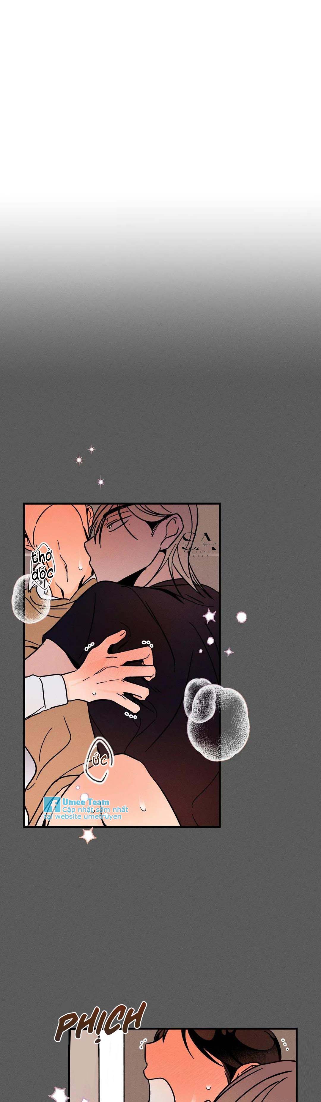 trở về chapter 8 10