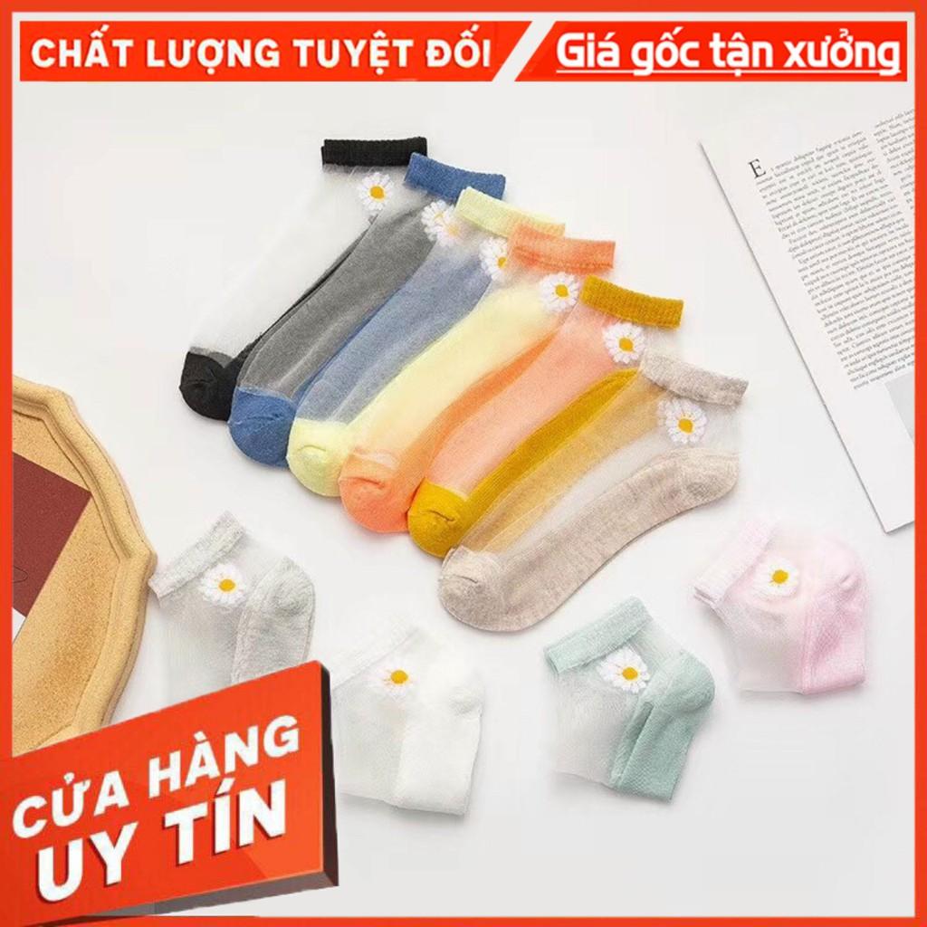Tất Pha Lưới Thêu Hoa Cúc Siêu Xinh Combo Túi 10 Đôi