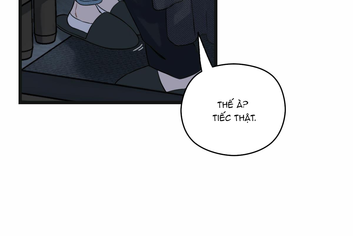 tương phùng chapter 11 210
