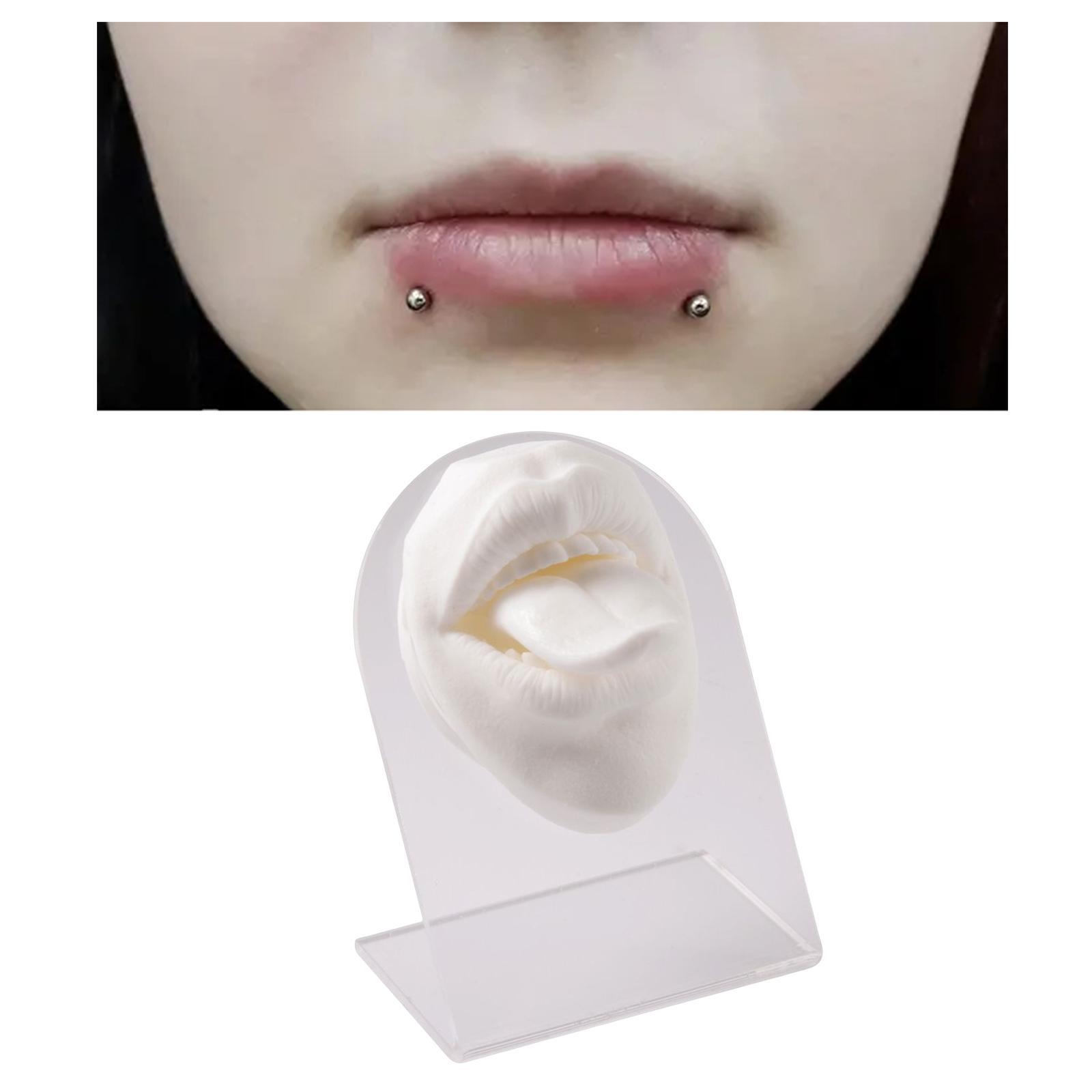 Silicone Mouth tongues Model Flexible Practice Tool Education Display