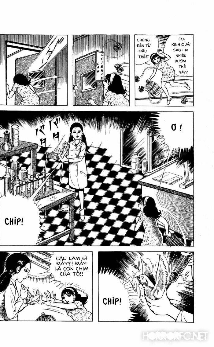 tuyển tập truyện ngắn kinh dị chapter 3 5