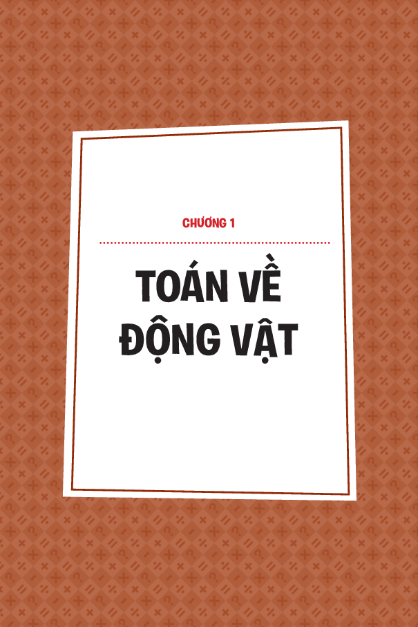 Vui Làm Toán Để Ngủ Ngon 04 - Bedtime Math 4