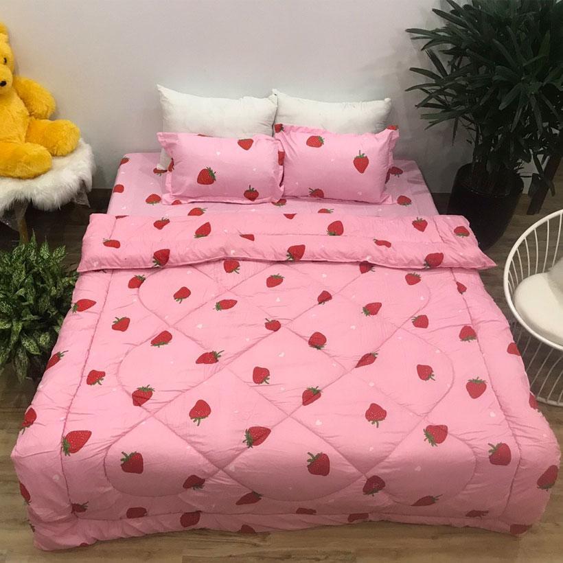 Set 5 Món Mền Phao Drap Gối Gồm 1 Mền Phao 2 áo gối 1 áo gối ôm 1 Drap Bọc Đủ Kích Thước album02