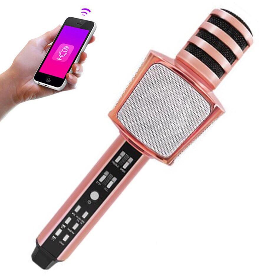 MICRO Không Dây Cầm Tay SD17 - Micro Karaoke bluetooth mini