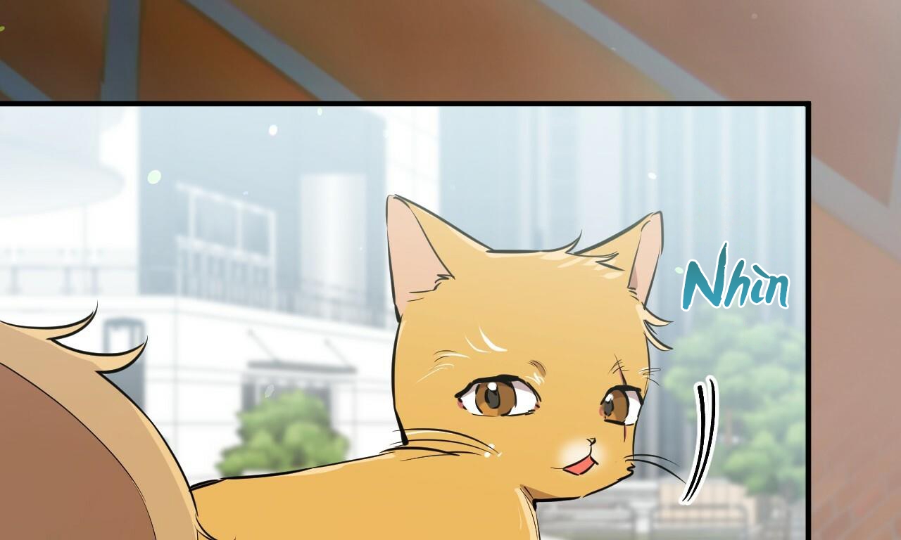 đàn thỏ của habibi chapter 48 81