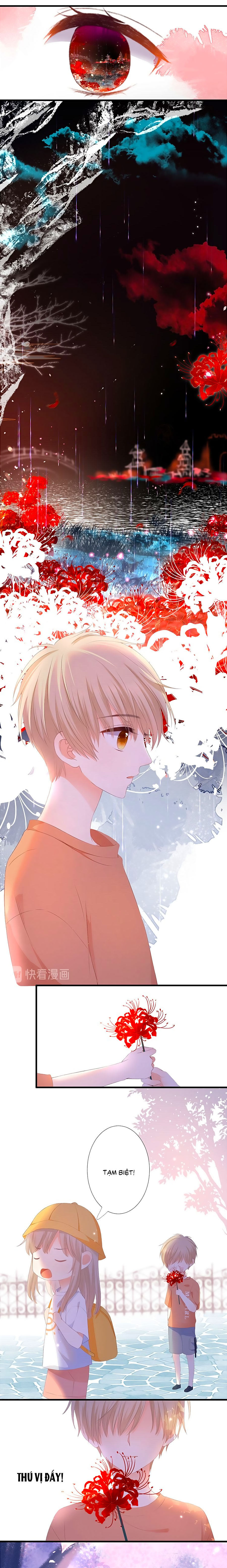 đóa hoa chớm nở chapter 39.6 8