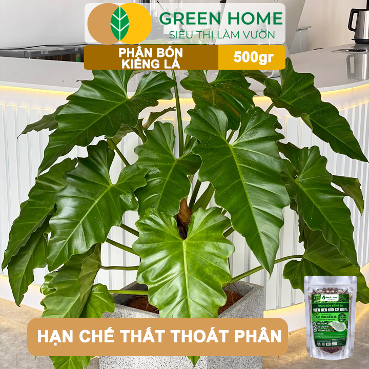 Phân Bón Kiểng Lá GreenHome, Sfarm, Bao 500gr, Chuyên Cho Các Dòng Kiểng Lá Trong Nhà Và Ngoài Trời