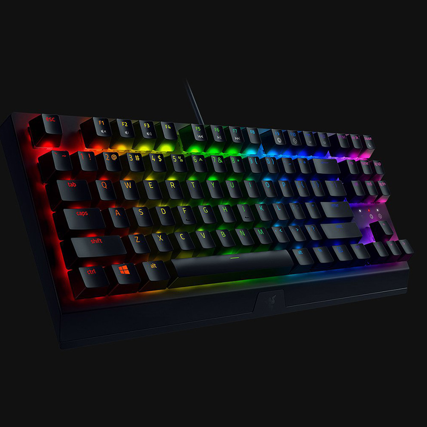 Hình ảnh Bàn phím Razer Blackwidow V3 Tenkeyless RZ03-03490100-R3M1 - Hàng chính hãng