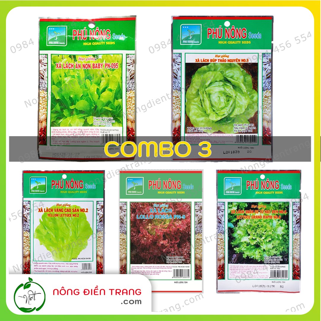 COMBO 5 gói hạt giống rau xà lách các loại - VTNN Nông Điền Trang
