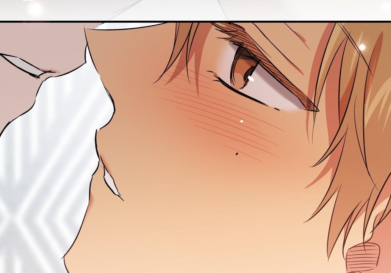 những chú thỏ của hapypy chapter 60 249