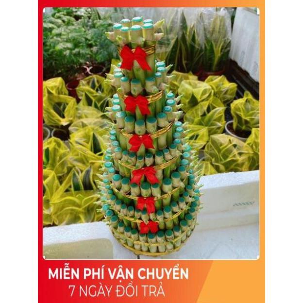 Trúc Phát Tài 7 tầng kèm dĩa