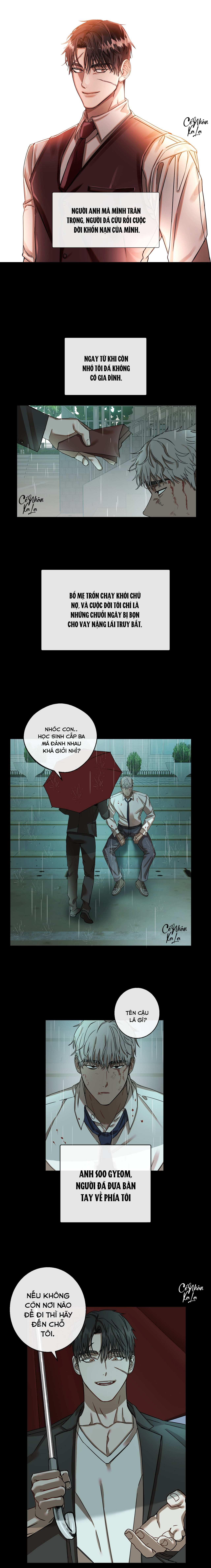 đại ca của tôi chapter 1 8