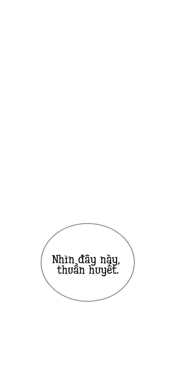 Máu trắng chapter 14 84