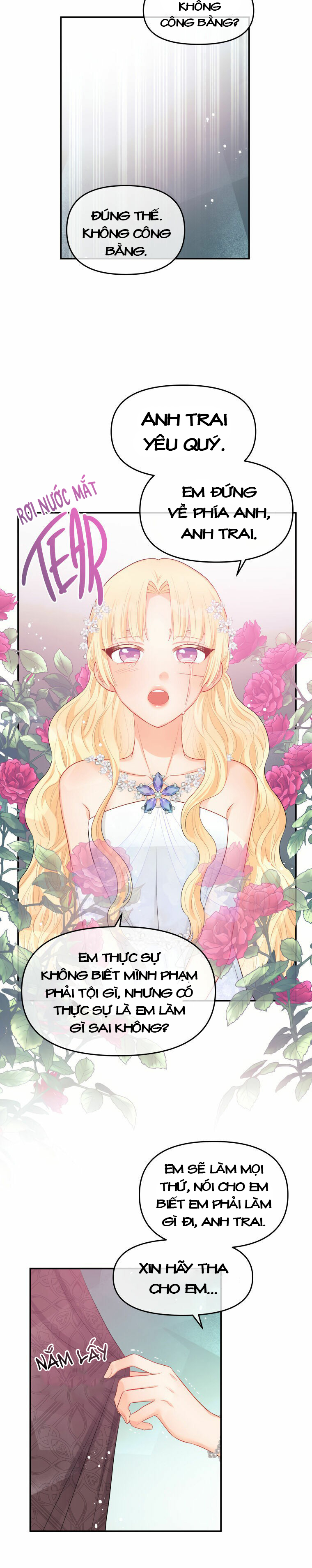 xin đừng trao tấm lòng vào cuốn sách ấy chapter 15 22