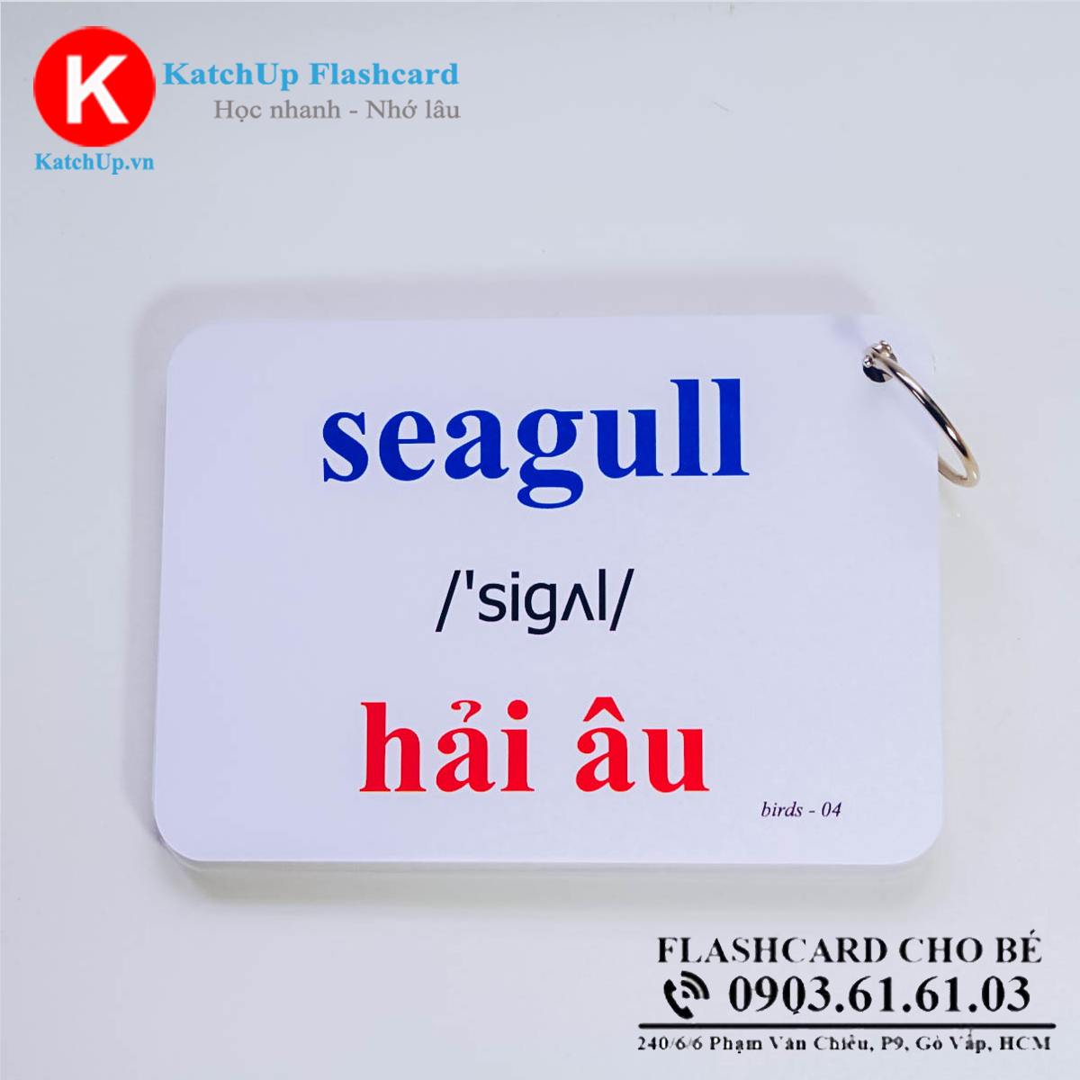 Bộ KatchUp Flashcard cho bé Tiếng Anh – Các loài chim – High Quality