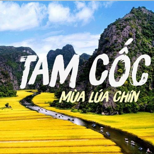 Tour Trọn Gói 1 Ngày Ninh Bình - Hoa Lư - Tam Cốc - Đạp Xe Đạp Ngắm Cảnh