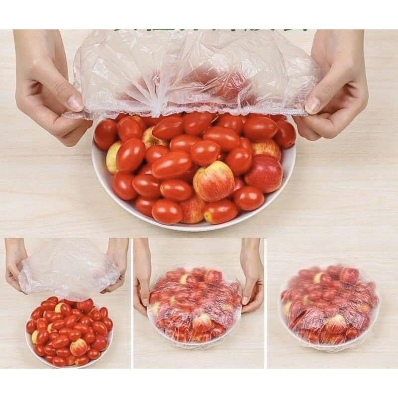 Màng Bọc Thực Phẩm Hình Gấu