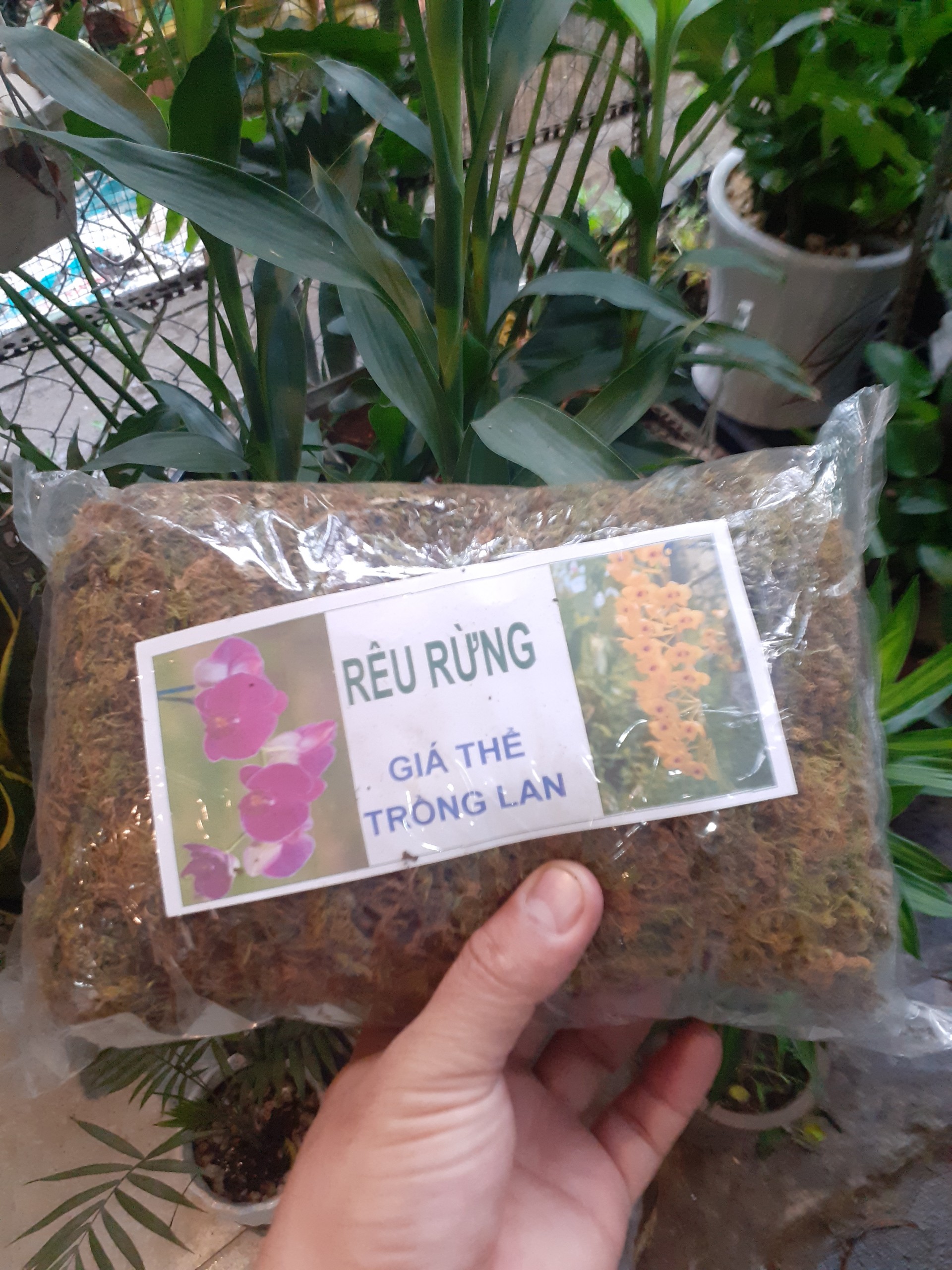 Gói Rêu rừng – giá thể trồng lan