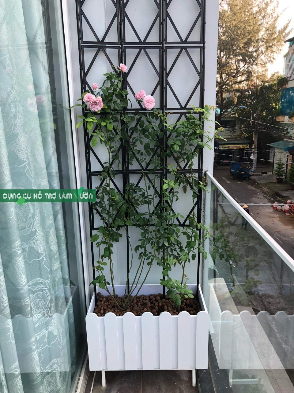 GIÀN LEO HOA HỒNG RỘNG 60CM