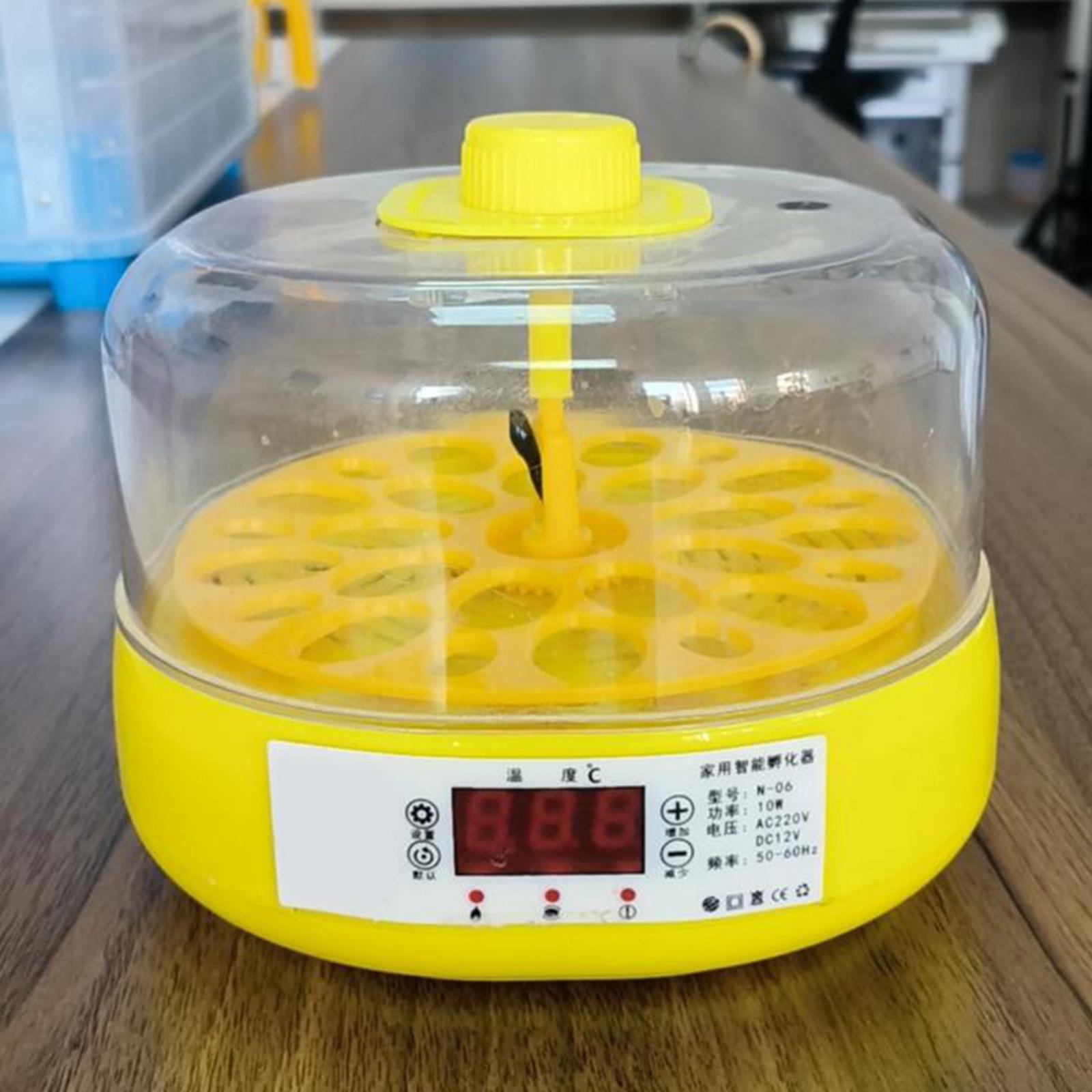 Egg Incubator for Birds Automatic Household Temperature Control Bird Hatcher