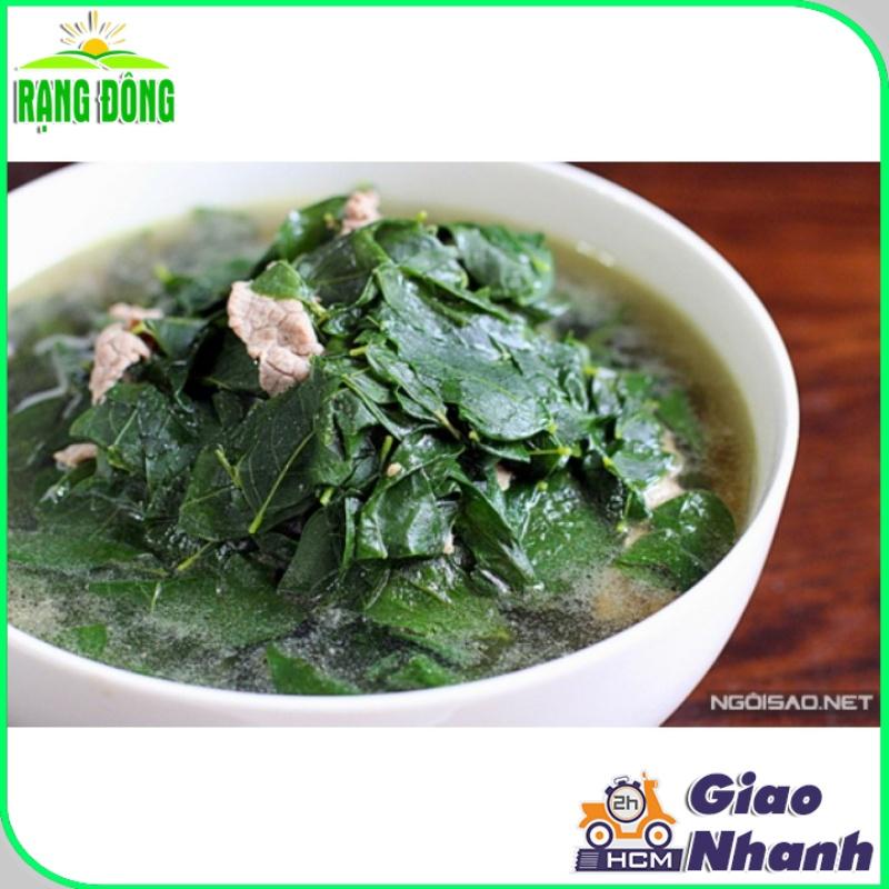 Hạt giống Rau Ngót Trồng Quanh Năm, Sinh Trưởng Khỏe - Hạt giống Rạng Đông