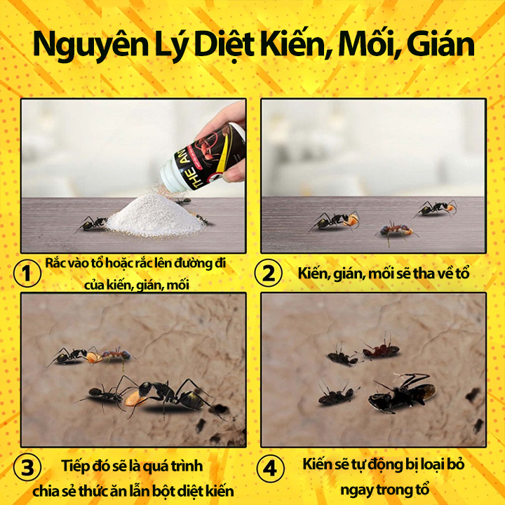Bột Diệt Kiến Gián Mối THE ANTS 100g Nội Địa Thái Lan Dùng 1 Lần Diệt Cả Ổ Trong 5 Phút Tặng Thìa Xúc Bột