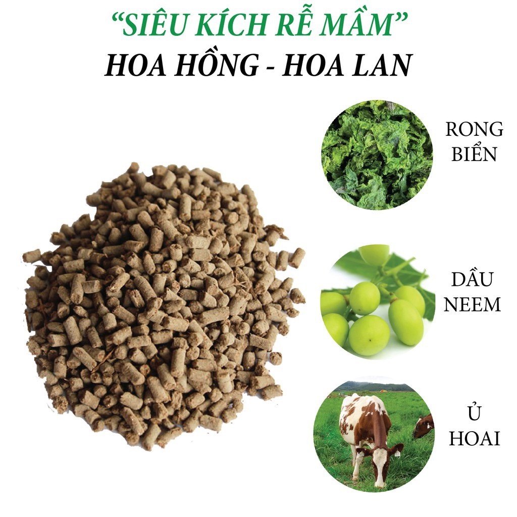 PHÂN BÓN SIÊU KÍCH RỂ - Kích thích tăng tốc phát triển bộ rễ, tăng trưởng mầm, hoa lá