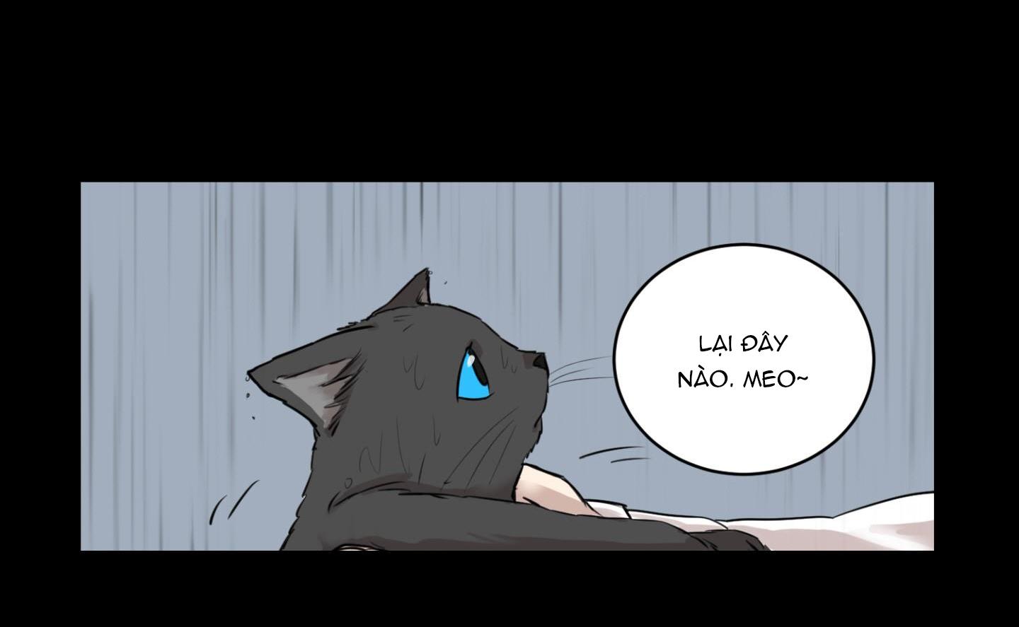 sự trả thù méo mó chapter 1 4