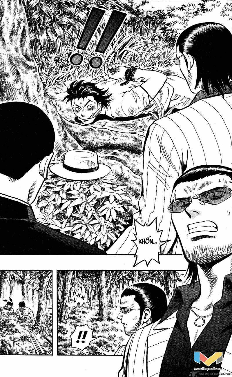 animal sense chapter 11 26