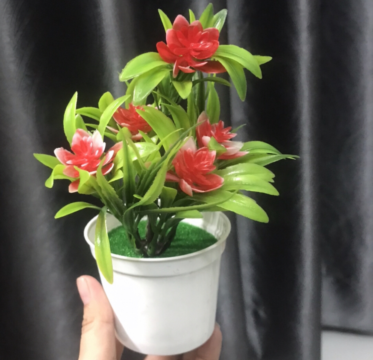 Chậu cây trang trí