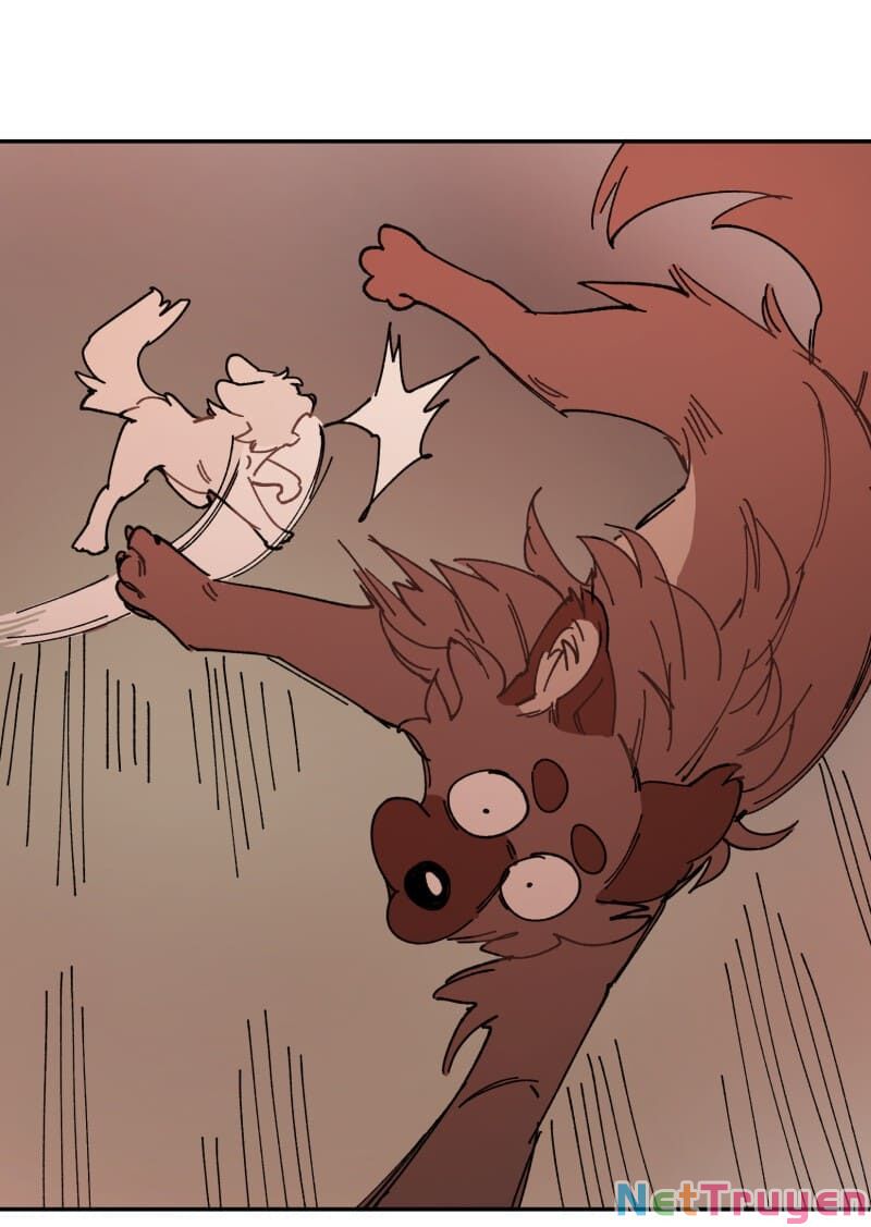 lumine - cội nguồn ánh sáng chapter 107 25