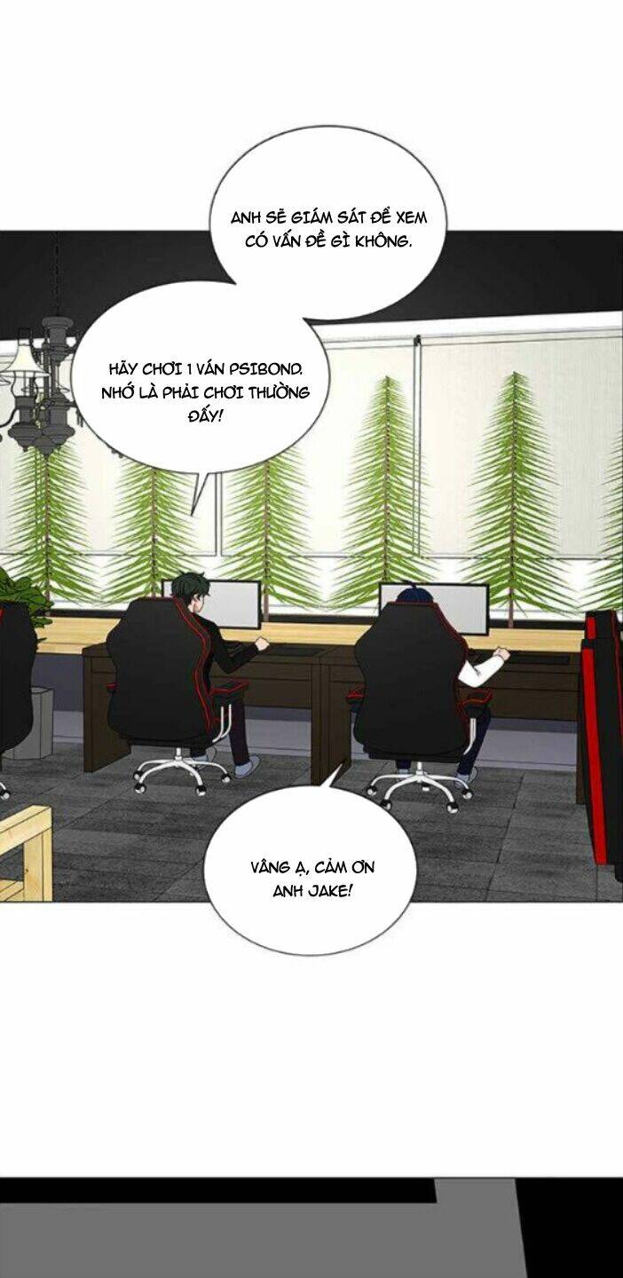 no scope chapter 115 28