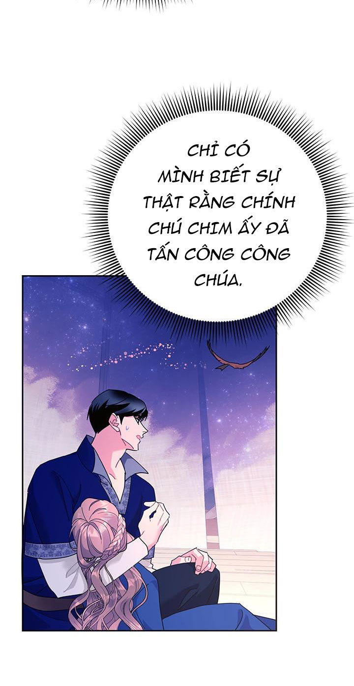 công chúa của loài chim chapter 40.1 27