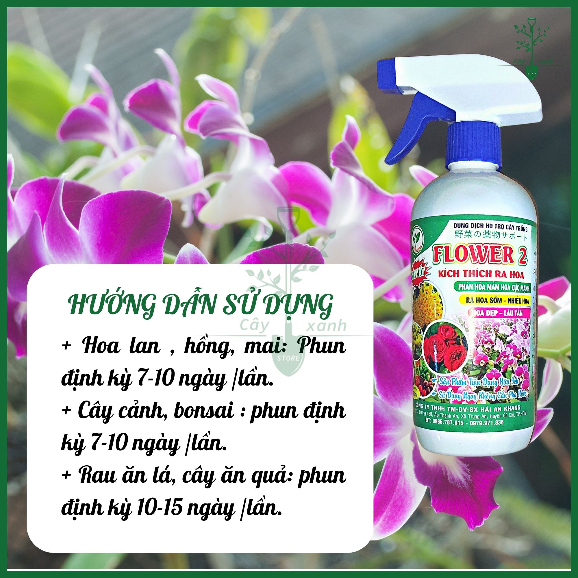 Dung dịch FLOWER 2 - Chai xịt 550ml Phun trực tiếp không cần pha - Kích ra hoa sớm, nhiều hoa lâu tàn - Cây Xanh Store