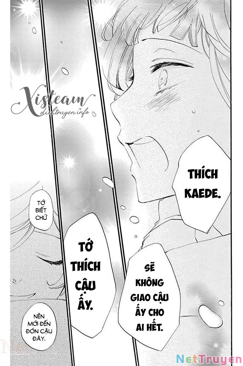 nin koi chapter 27 29