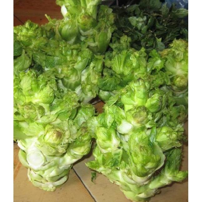 Combo 4 gói hạt giống cải mầm đá sapa dể trồng -gói 2 gram- tặng 1 phân bón