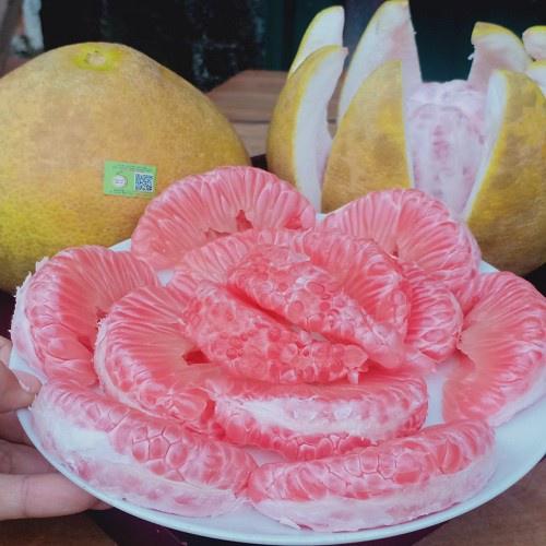 Cây giống Bưởi Đỏ Tân Lạc tặng 2 cây chè xanh