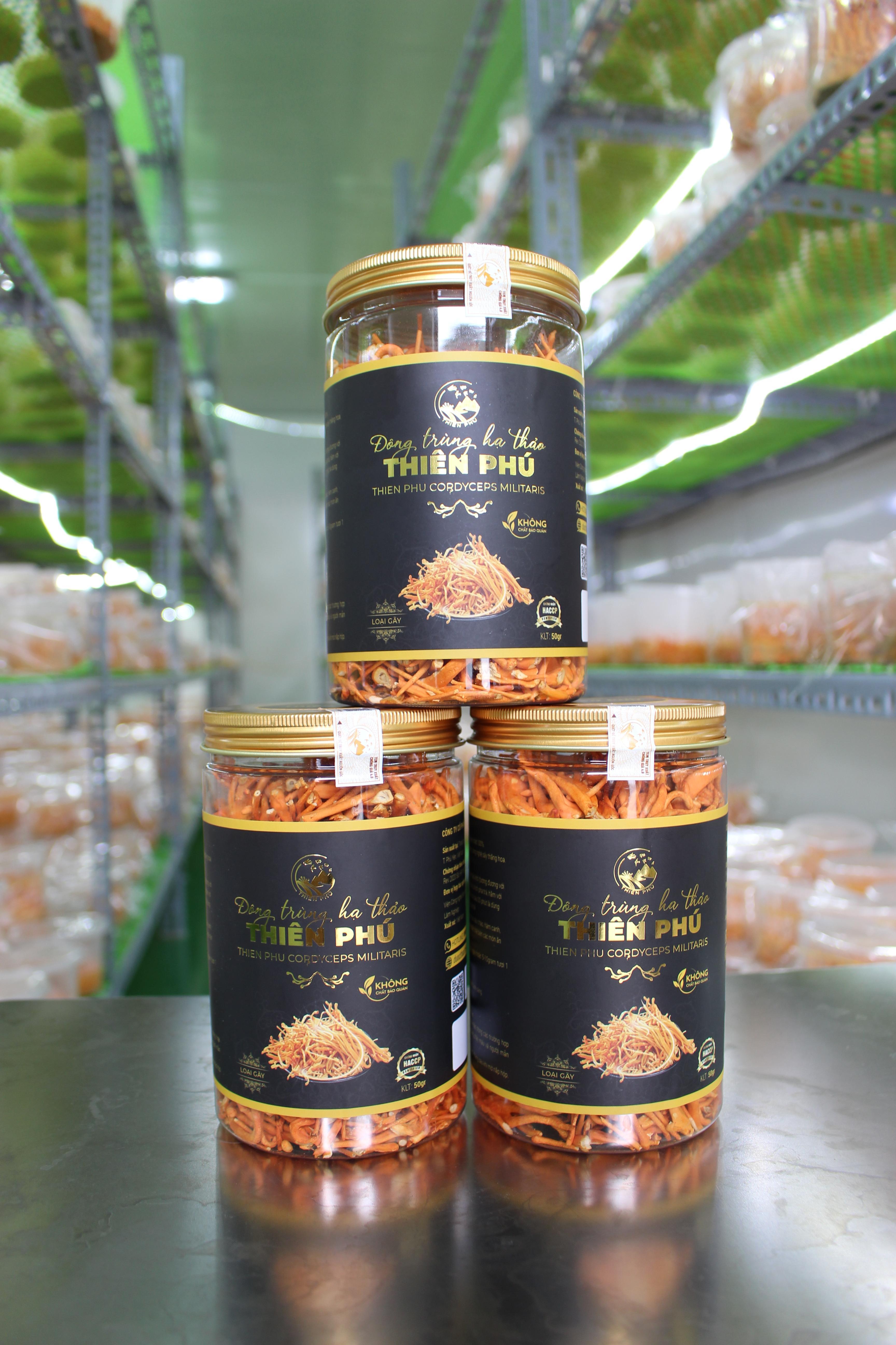 Đông trùng hạ thảo sấy thăng hoa -50g